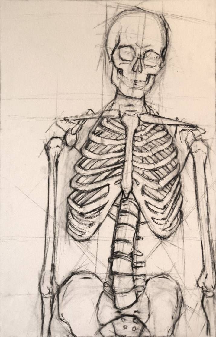 Скелет карандашом