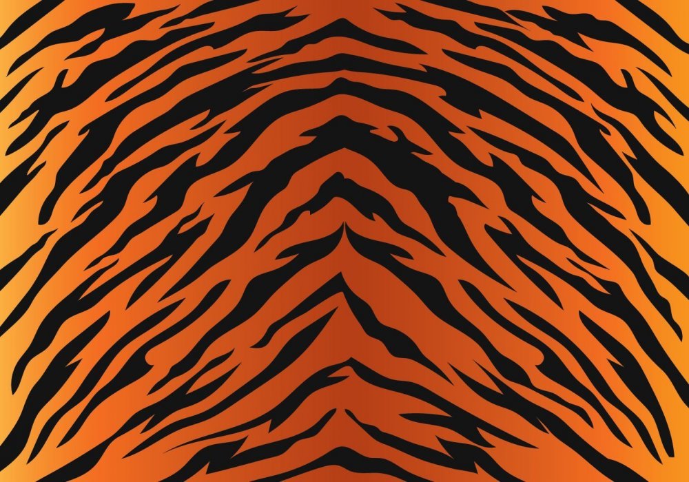 Тигр паттерн вектор