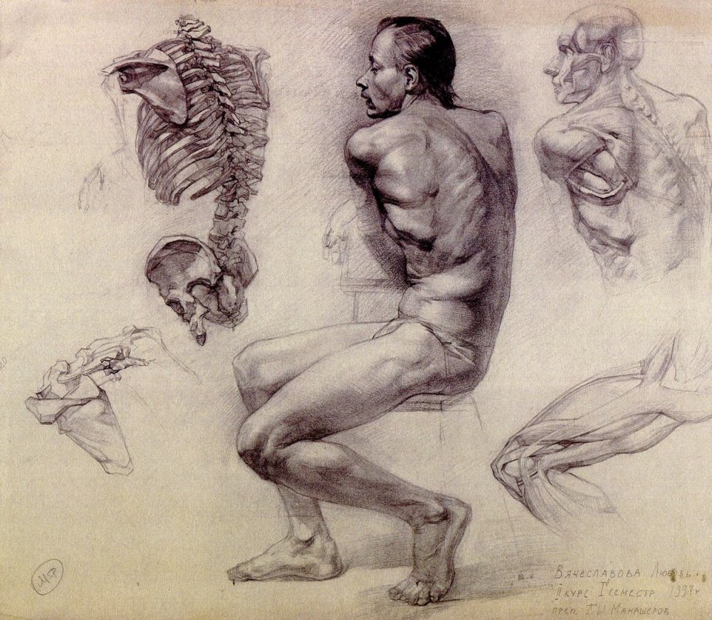 Пластическая анатомия Родена